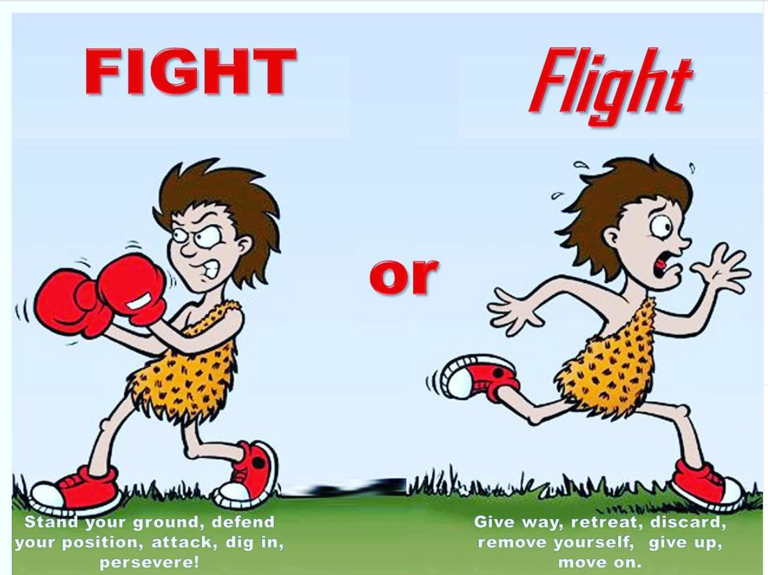 Are You In Fight or Flight?