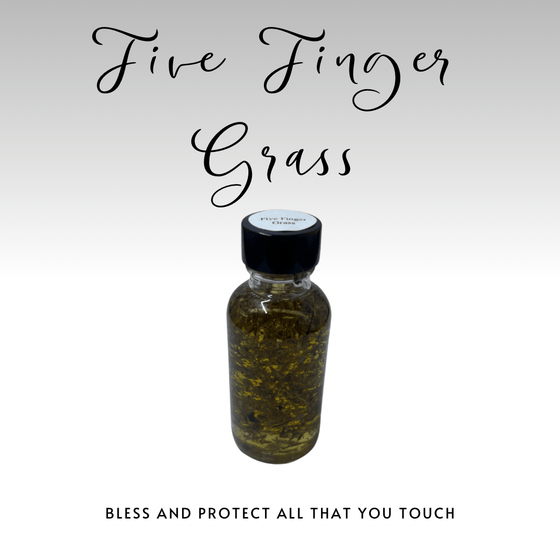 Five Finger Grass